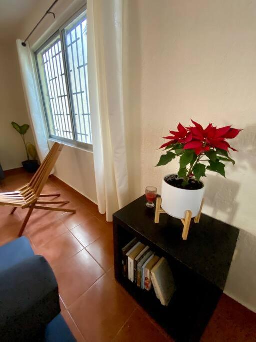 Peach35 Apartamento Centrico, 5 Min De La Playa Cancún Exteriör bild